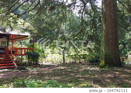 花園の里にある傘型もみノ木と山小屋の景色 花園の里にある傘型もみノ木と山小屋の景色 104792111