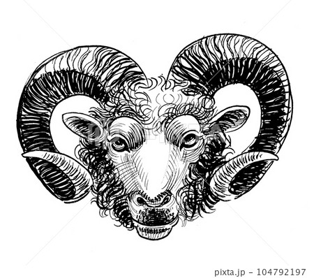 Ram head. Hand drawn black and white ink on paper drawing 104792197