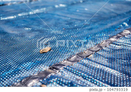 Leaf on top of a floating pool cover used to keep out debris and provide thermal insulation.  104793319