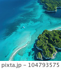 aerial view of tropical island with coconut palm tree 104793575