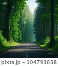 road in forest 104793638