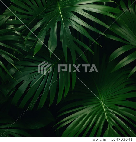 green tropical leaves pattern with palm 104793641