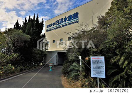 京都大学フィールド科学教育研究センター瀬戸臨海実験所水族館（和歌山県西牟婁郡白浜町） 104793703