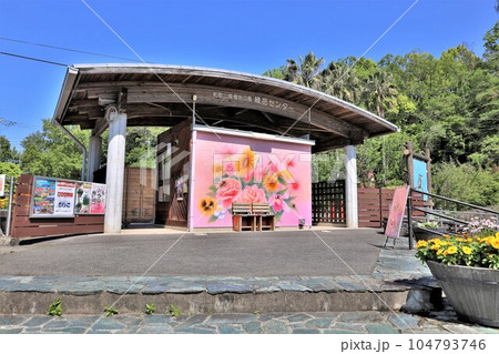 和歌山県植物公園・緑花センター(和歌山県岩出市) 和歌山県植物公園・緑花センター(和歌山県岩出市) 104793746