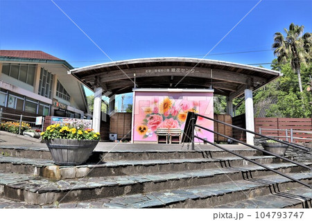 和歌山県植物公園・緑花センター（和歌山県岩出市） 104793747