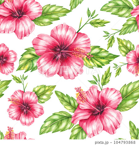 Watercolor red hibiscus pattern Watercolor red hibiscus pattern 104793868