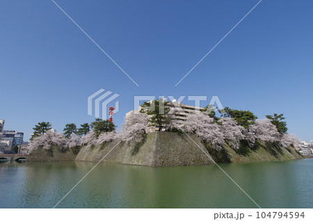 春の福井城跡と福井県庁 104794594