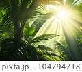 palm tree with sky background 104794718