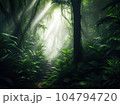 fog in the forest 104794720