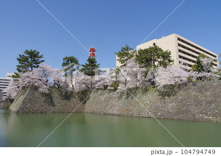 春の福井城跡と福井県庁 春の福井城跡と福井県庁 104794749