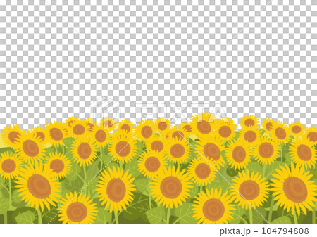 ひまわり畑のイラスト ひまわり畑のイラスト 104794808
