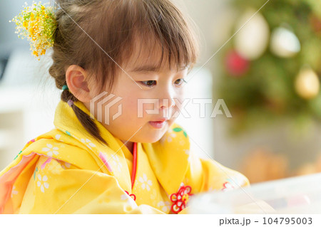 七五三の着物を着た女の子のポートレート 七五三の着物を着た女の子のポートレート 104795003