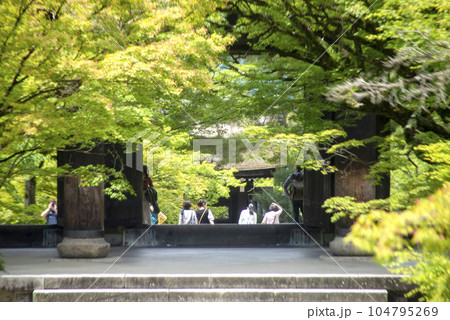 京都・南禅寺 三門 と 新緑 104795269