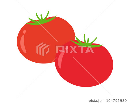 トマトのアイコン 104795980