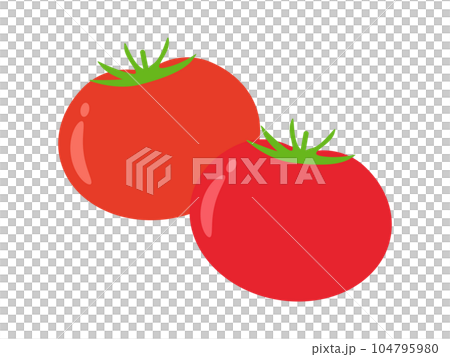 トマトのアイコン 104795980