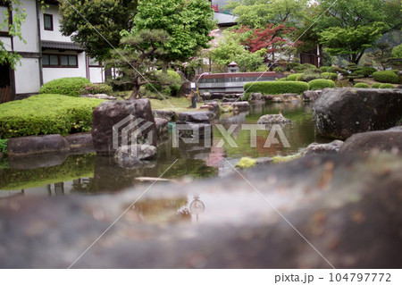 鳥取 四季の散歩 鯉幟が泳ぐ川 瀬戸川 鳥取 四季の散歩 鯉幟が泳ぐ川 瀬戸川 104797772