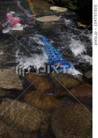 鳥取　四季の散歩　鯉幟が泳ぐ川　瀬戸川 104797808