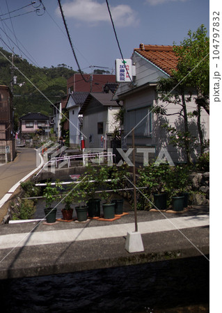 鳥取 四季の散歩 鯉幟が泳ぐ川 瀬戸川 鳥取 四季の散歩 鯉幟が泳ぐ川 瀬戸川 104797832