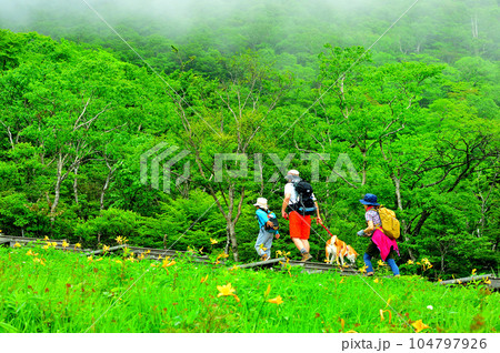 霧降高原を行くハイカー 104797926