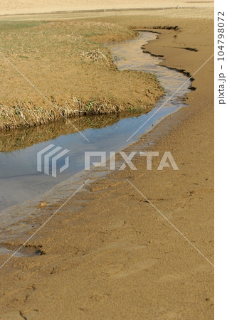鳥取 四季の散歩 冬 鳥取砂丘 鳥取 四季の散歩 冬 鳥取砂丘 104798072