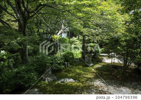 東福寺の本坊庭園 104798396