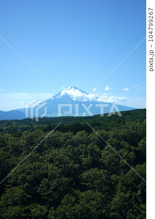 三島スカイウォーク 富士山 104799267