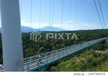 三島スカイウォーク 富士山 104799283