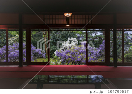 長慶院の藤 104799617