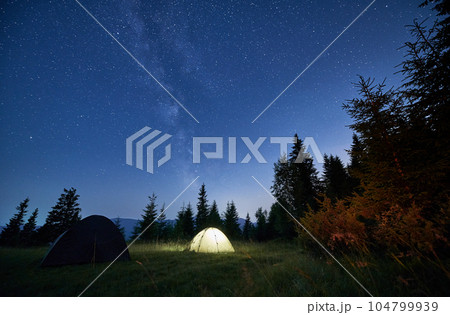 Beautiful landscape of grassy hill with camp tents and coniferous trees under night starry sky. Scenic panoramic view of tourist tents in mountain meadow under blue sky with stars. Beautiful landscape of grassy hill with camp tents and coniferous trees under night starry sky. Scenic panoramic view of tourist tents in mountain meadow under blue sky with stars. 104799939