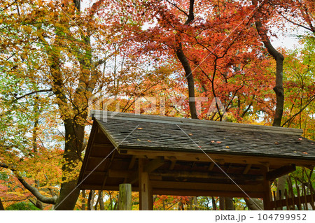 鎌倉　一条恵観山荘の美しい紅葉 104799952