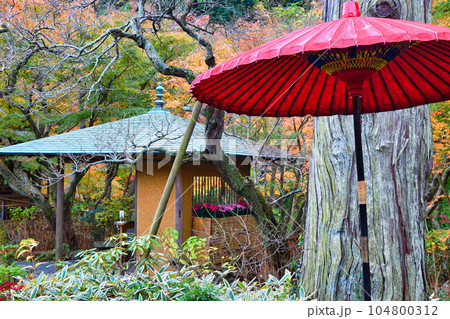 鎌倉　一条恵観山荘の美しい紅葉 104800312