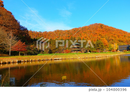 安久津八幡神社　紅葉　黄葉 104800396