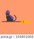 A cute black cat in a witch hat sitting on a witch's broom Halloween pumpkin to celebrate Halloween celebrities' holiday greetings. Vector illustration cartoon. 104801068