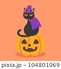 A cute black cat in a witch hat sitting on a Halloween pumpkin to celebrate Halloween celebrities' holiday greetings. Vector illustration cartoon. 104801069