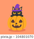 A cute black cat wearing a violet witch hat stays above the Halloween pumpkin to celebrate Halloween celebrities' holiday greetings. Vector illustration cartoon. 104801070