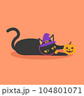 A cute black cat in a witch hat playing with a Halloween pumpkin to celebrate Halloween celebrities' holiday greetings. Vector illustration cartoon. 104801071