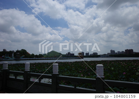 台湾高雄の蓮池潭にある龍虎塔付近から見る蓮の花と春秋御閣 台湾高雄の蓮池潭にある龍虎塔付近から見る蓮の花と春秋御閣 104801159