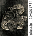 Viper snake. Hand drawn illustration in ink technique on grunge background 104801754