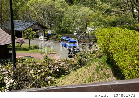 春の宮沢賢治童話村 春の宮沢賢治童話村 104801773