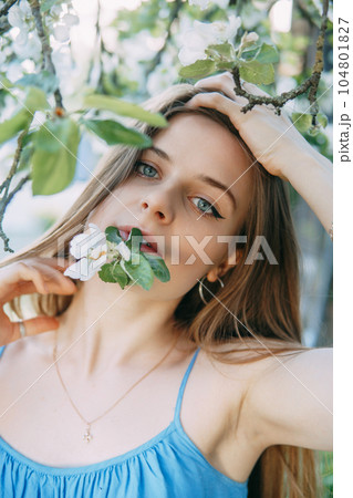 Beautiful young girl in a blue dress in a blooming Apple orchard. Blooming Apple trees with white flowers. Beautiful young girl in a blue dress in a blooming Apple orchard. Blooming Apple trees with white flowers. 104801827