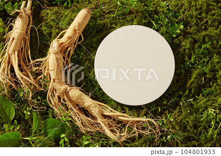 A white podium in round-shaped put on the green grass with ginseng roots. Pedestal or platform for beauty products advertising of Ginseng (Panax ginseng) extract A white podium in round-shaped put on the green grass with ginseng roots. Pedestal or platform for beauty products advertising of Ginseng (Panax ginseng) extract 104801933