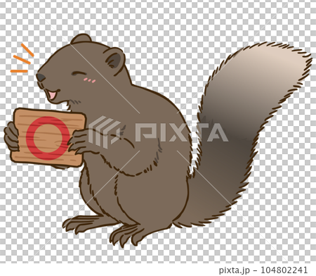 Taiwan squirrel holding a sign with a circle mark 104802241