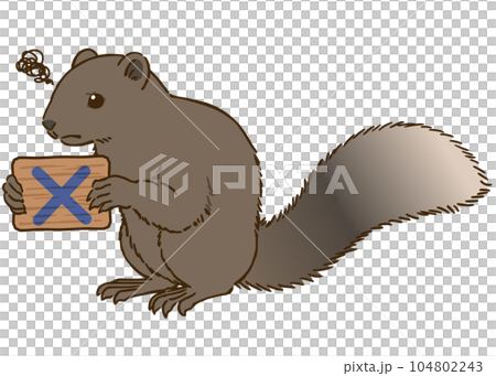 バツマークを描いた看板を持つタイワンリス 104802243
