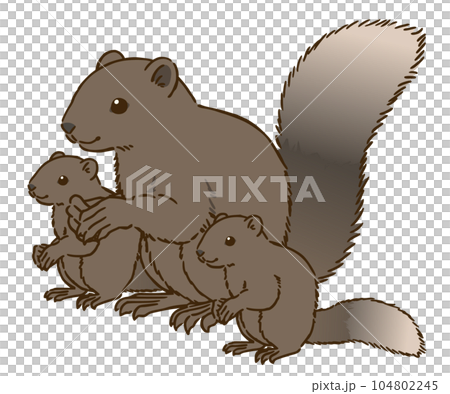 Parent and child of Taiwan squirrel 104802245