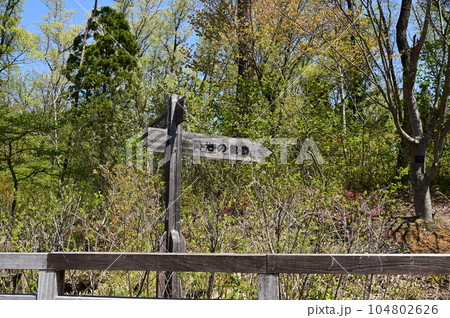 春の宮沢賢治童話村 104802626