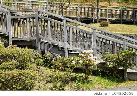 春の宮沢賢治童話村 春の宮沢賢治童話村 104802659