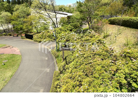 春の宮沢賢治童話村 104802664