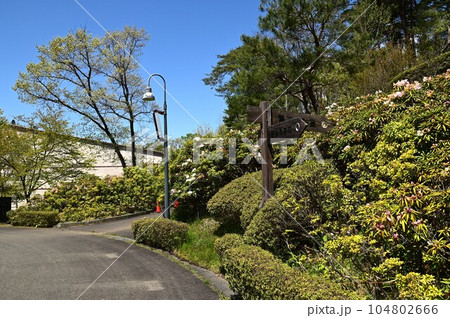 春の宮沢賢治童話村 春の宮沢賢治童話村 104802666