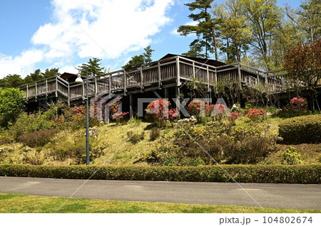 春の宮沢賢治童話村 104802674