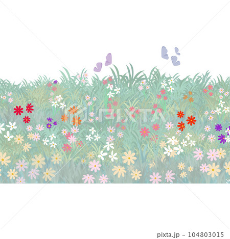 Lovely grass and little flower 104803015